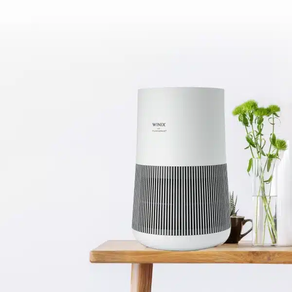 luftrenser på bord med planter